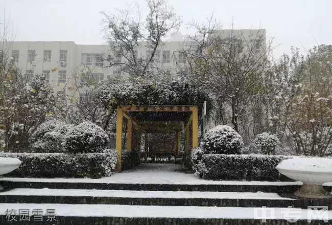 西安市第四十五中学[普高]-校园雪景