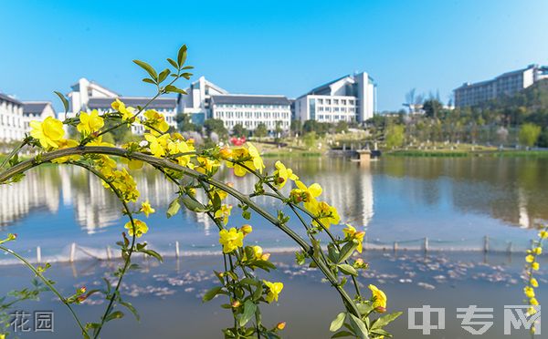 ☆重庆工程职业技术学院成教院-花园