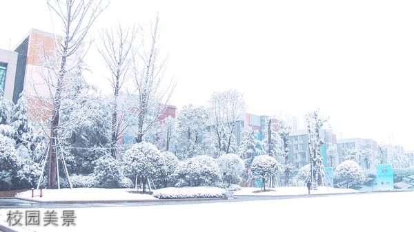 ☆重庆房地产职业学院继续教育学院-校园美景