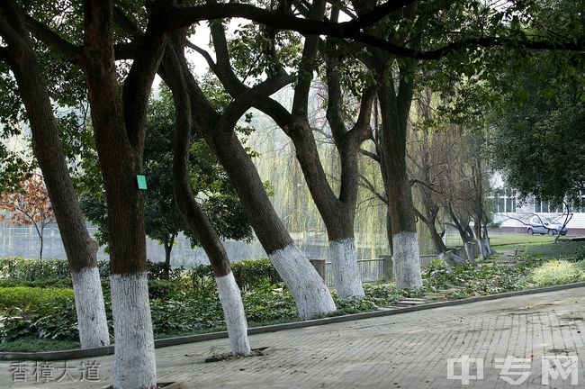 ☆重庆三峡职业学院继续教育学院-香樟大道