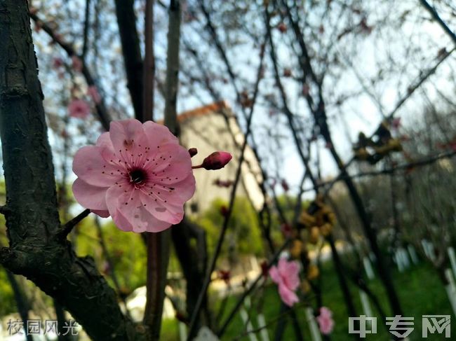 ☆重庆三峡职业学院继续教育学院-校园风光