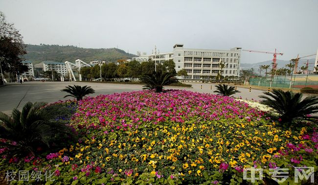 ☆重庆三峡职业学院继续教育学院-校园绿化