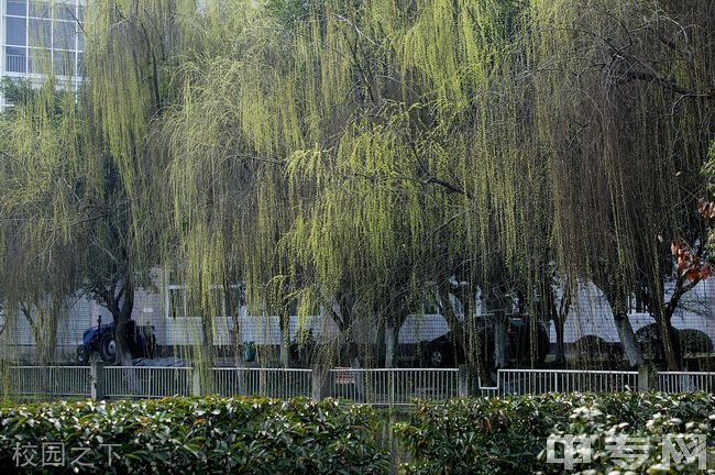 ☆重庆三峡职业学院继续教育学院-校园之下