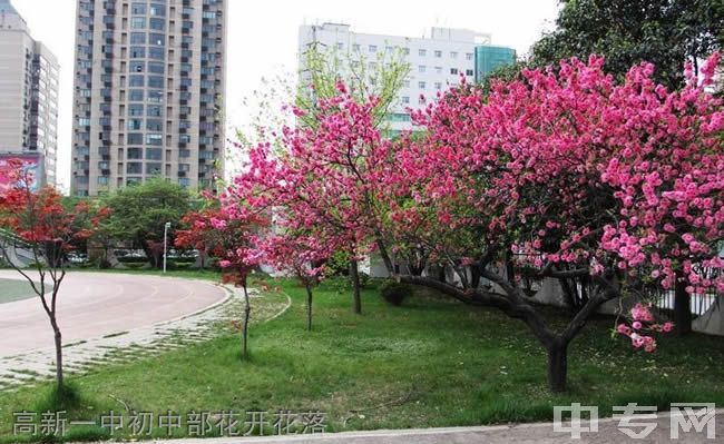 西安市高新第一中学[普高]-高新一中初中部花开花落