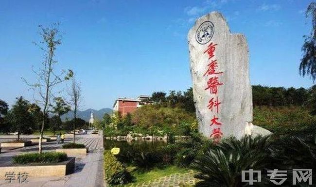 重庆医科大学成教院学校