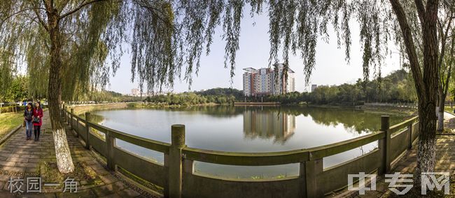 ☆长江师范学院继续教育学院-校园一角