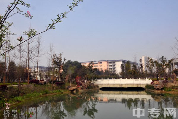 ☆成都工业学院继续教育学院-桥景