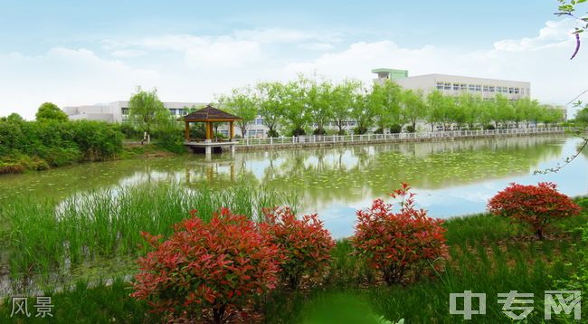 ☆重庆三峡医药高等专科学校成教院-风景