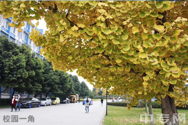 ☆电子科技大学成都学院继续教育部-校园一角