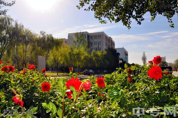 ☆榆林学院继续教育学院-校园一角