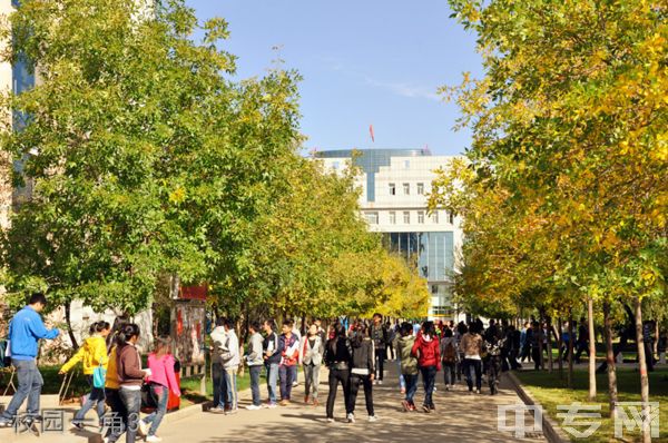 ☆榆林学院继续教育学院-校园一角3