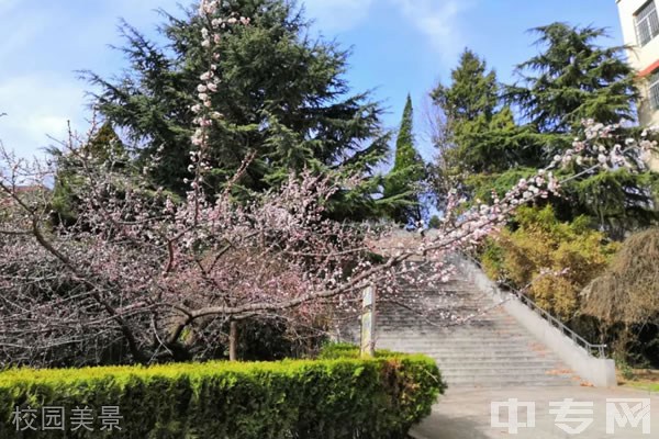 宝鸡市金台高中校园美景