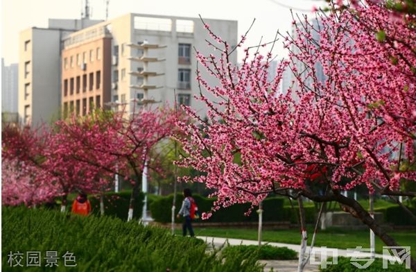 ☆西安邮电大学继续教育学院-校园景色