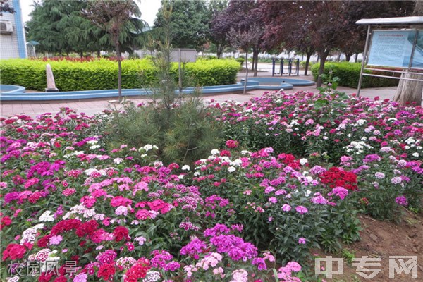 宝鸡市陈仓区东关高级中学[普高]-校园风景