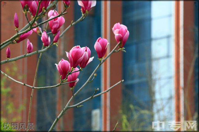 ☆遵义医药高等专科学校继续教育学院-校园风景