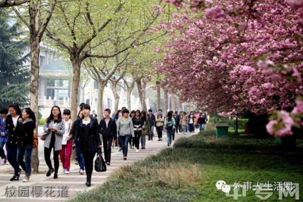 ☆西安外事学院继续教育学院-校园樱花道