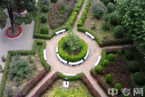 凤翔县紫荆中学[普高]-校园风景