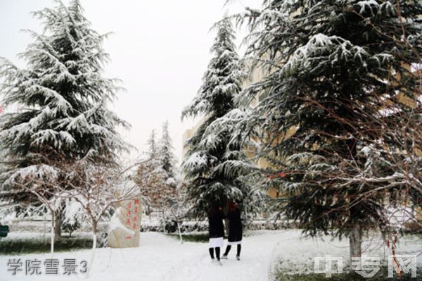 ☆商洛职业技术学院继续教育学院-学院雪景3