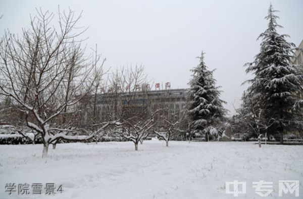 ☆商洛职业技术学院继续教育学院-学院雪景4