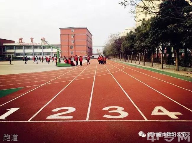 铜川市耀州区锦阳公学[普高]-跑道