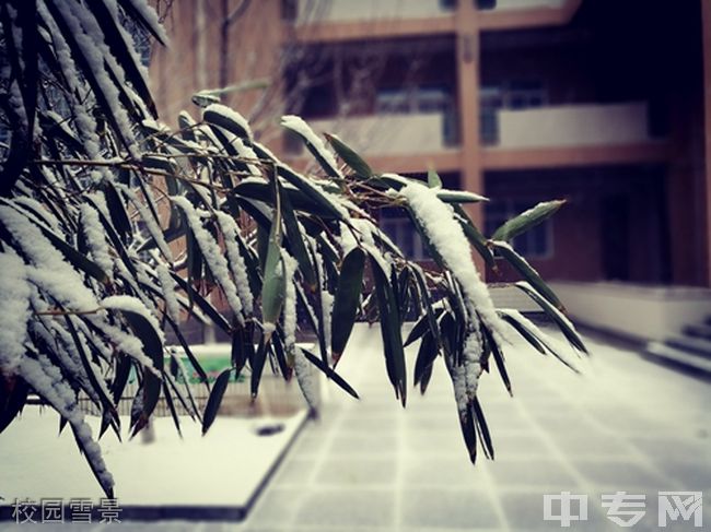 桥山中学[普高]-校园雪景