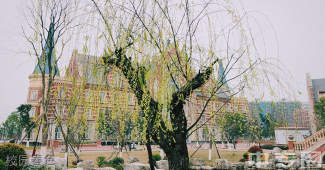 四川文化传媒职业学院(五年制大专)-校园春色