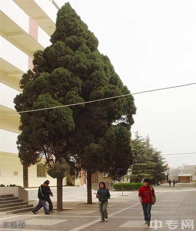 西安市高陵区第三中学[普高]-实验楼