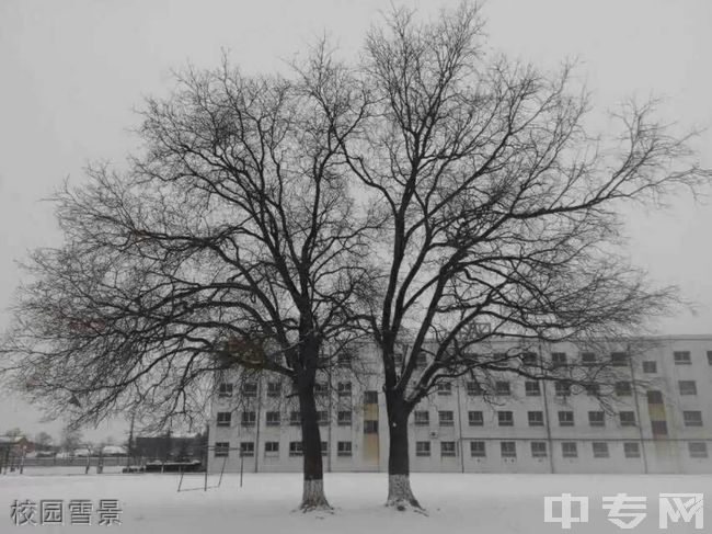 富平县美原中学[普高]-校园雪景