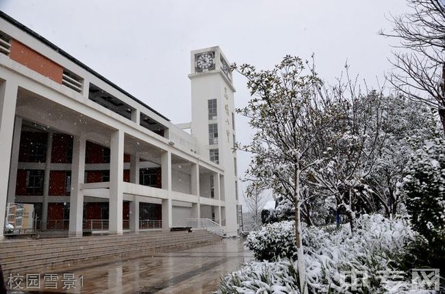 云南省昆明市第八中学[普高]-校园雪景1