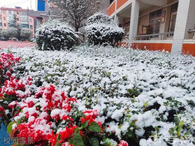 宣威市民族中学[普高]-校园雪景