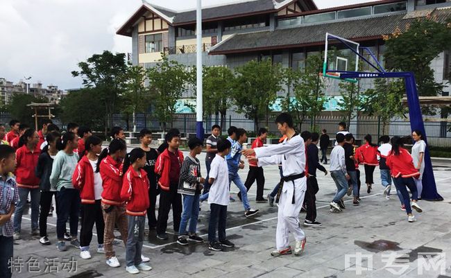 曲靖民中天南高级中学[普高]-特色活动