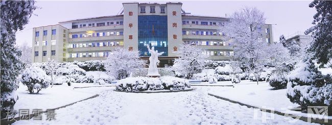 师宗县第一中学[普高]-校园雪景