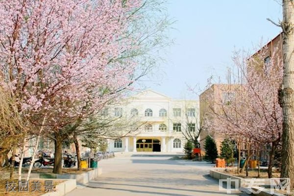马关县第一中学[普高]-校园美景
