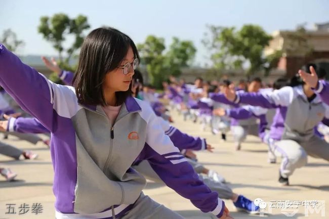 安宁中学太平学校[普高]-五步拳