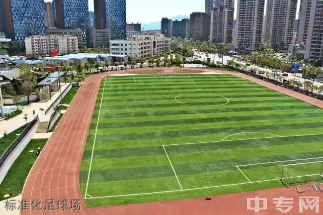 云南师范大学附属润城学校标准化足球场