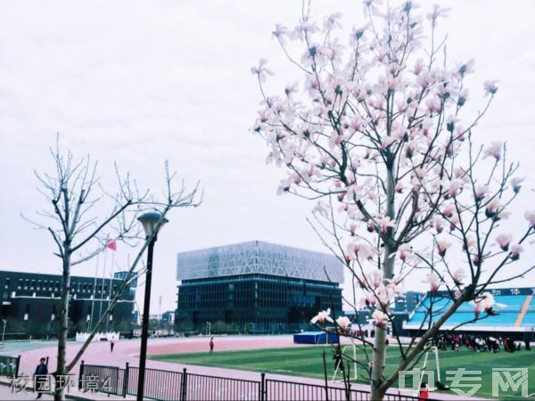 ☆太原师范学院继续教育学院-校园环境4