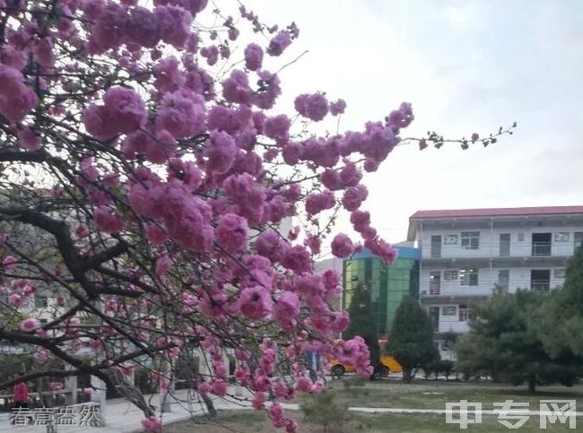 山西省五台县五台中学校[普高]-春意盎然
