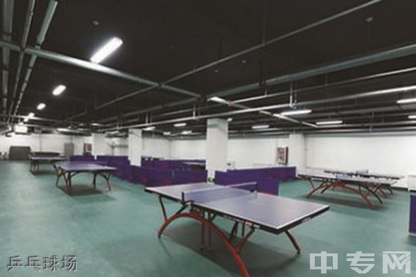 太原市第六十七中学[普高]-乒乓球场