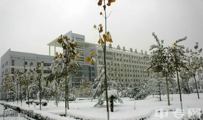 山西省运城中学校[普高]-校园雪景