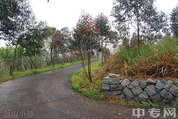 福建商贸学校-后山小径