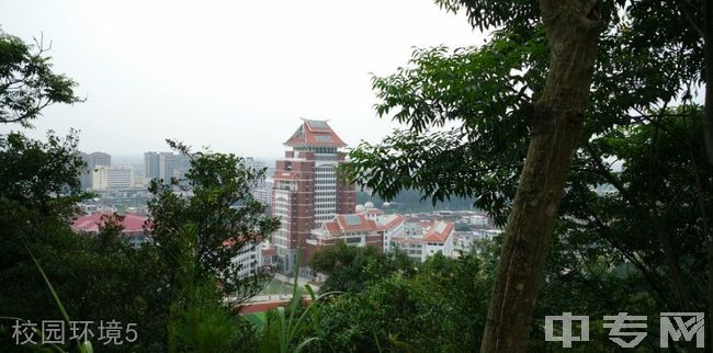 福建省龙海第一中学[普高]-校园风采11