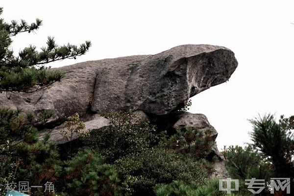 顺昌第一中学[普高]-校园风采2