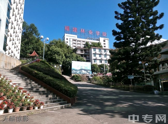 福建林业职业技术学院继续教育中心-校园风光16