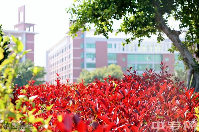 闽南理工学院继续教育学院-校园风光1