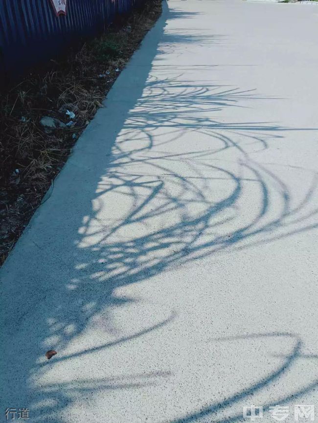 福建江夏学院继续教育学院-校园风光1