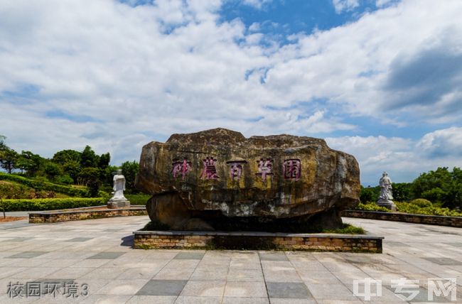 漳州卫生职业学院-校园风采8