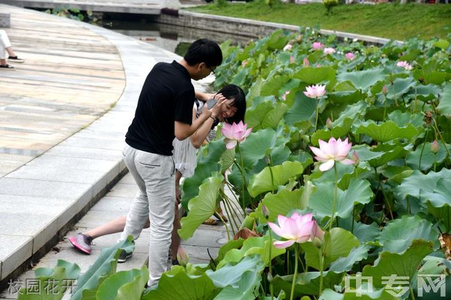 闽南理工学院继续教育学院-校园风光19