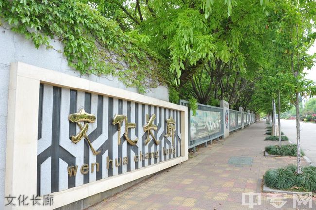 龙岩学院继续教育学院-校园风光7