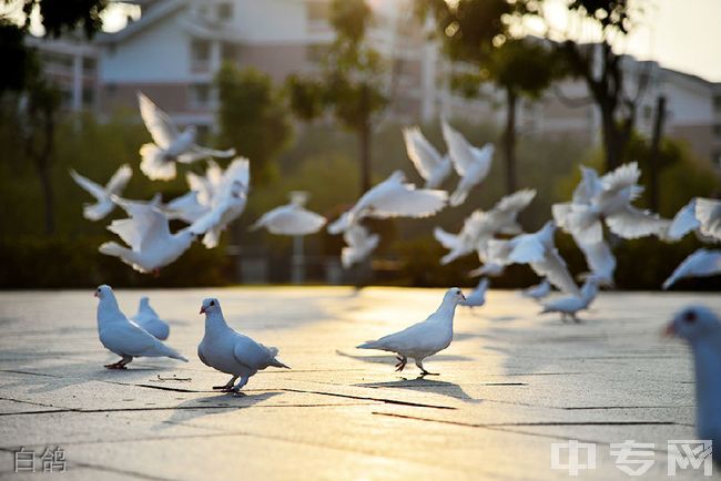 福建中医药大学成教学院-校园风光