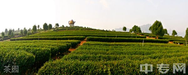 漳州科技职业学院-校园风采1